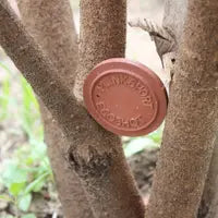 ECO Shots Clay Targets