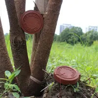 ECO Shots Clay Targets